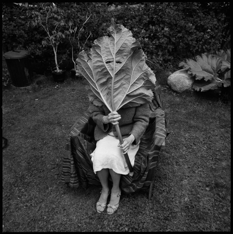 hauntedbystorytelling:  Carol Sawyer :: “Last known photograph of Natalie Brettschneider”,