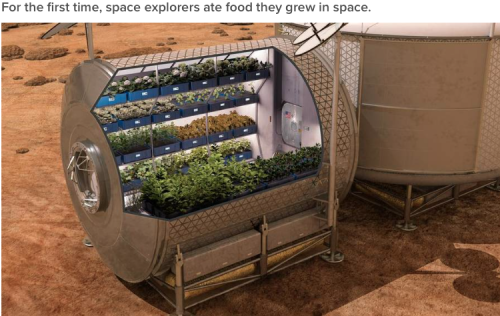 micdotcom:If you couldn’t tell already, NASA is having a great year. From Pluto to food grown in spa