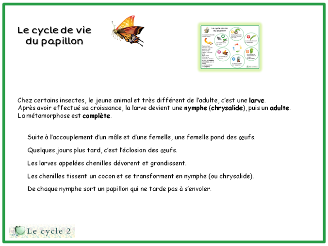 Le Cycle 2