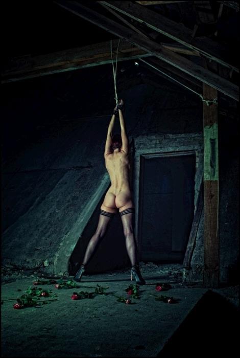 My BDSM journal