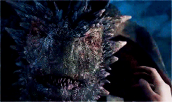 jonsnows: “ Drogon… ”
