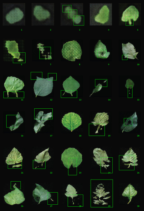 lucky-number-8:A machine learning model is trained on a scientific dataset of leaf photographs and s
