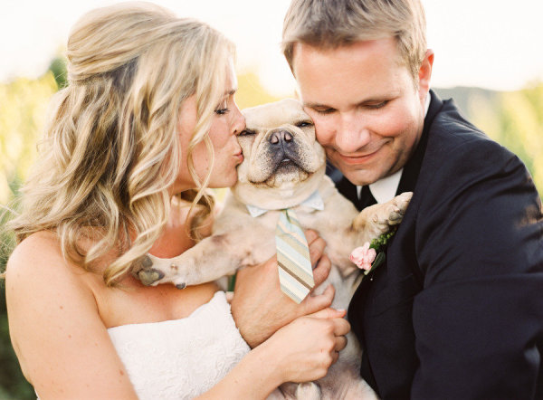 Lauren bush wedding