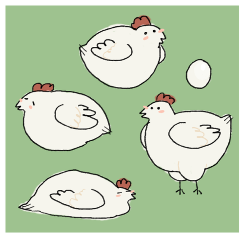 lamphoera:chikns