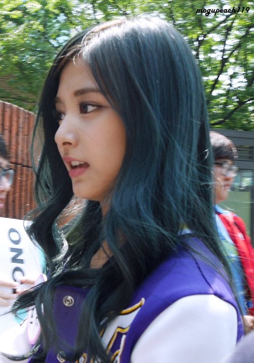 twicepercent:  mogupeach119  