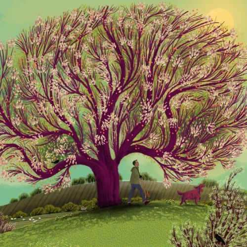 jane newland | Explore Tumblr Posts and Blogs | Tumgir