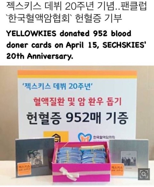 Look what Yellkies have done for SECHSKIES’ 20th anniversary! Way to go YELLKIES 