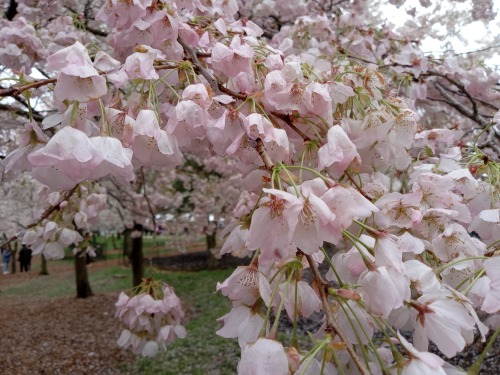 Spring Has Sprung.