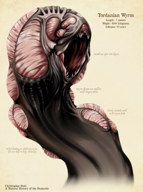 creature anatomy