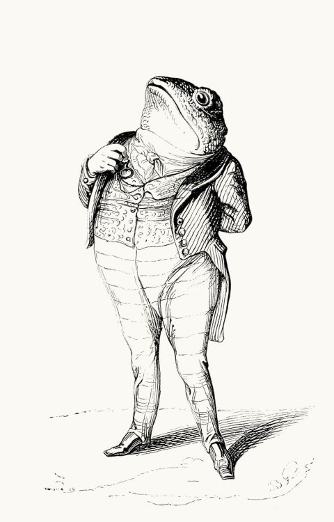 oldbookillustrations:The toad: Everyone has a duty to their country.J-J. Grandville, from Vie priv&e