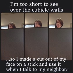 loloftheday:Short people problems