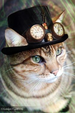 steampunktendencies:  Steampunk Cats by Louise