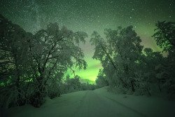 tiinatormanenphotography:  Into the light. Utsjoki, Finland.by Tiina Törmänen | web | FB | IG |  