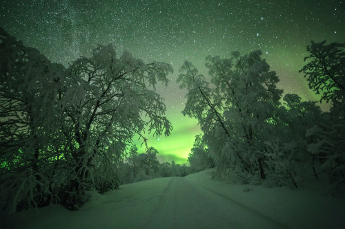 tiinatormanenphotography: Into the light.  Utsjoki, Finland. by Tiina Törmänen | web 