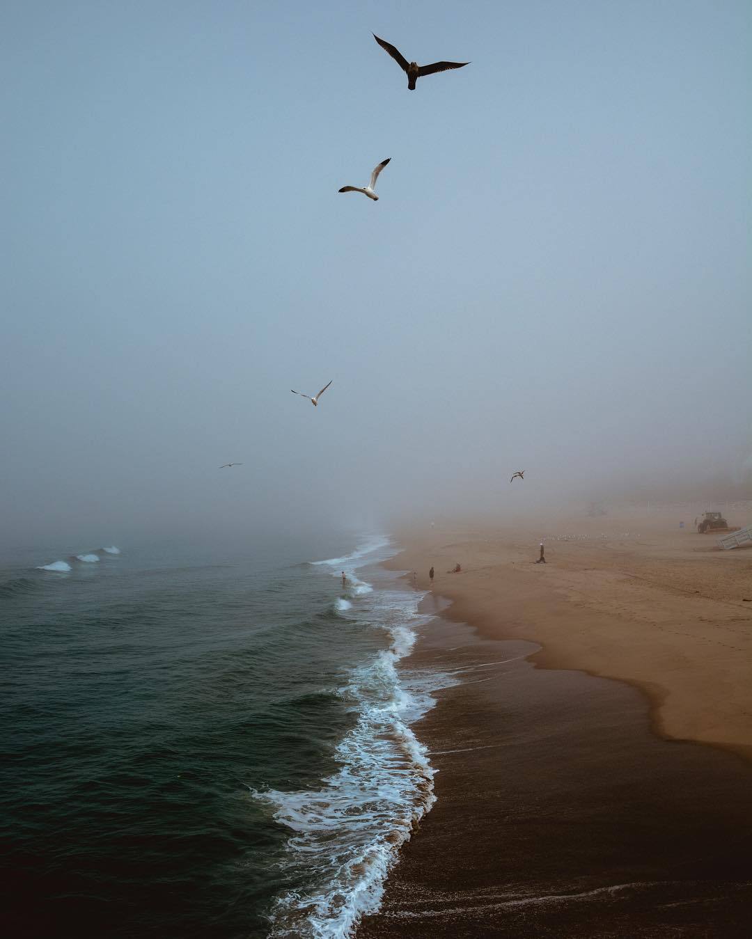 Instagram: chrisrvsso