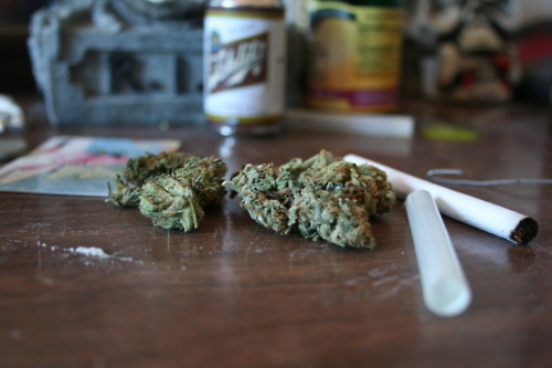 grow-your-weed:  Grow your own cannabis - adult photos