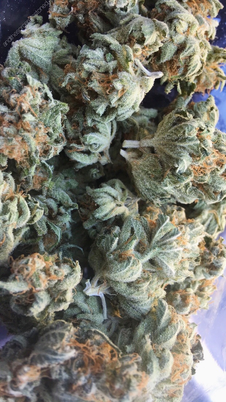 andthesorcerersstoned:Some Gorilla Glue #4 🔥
