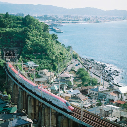lanatura:  2013#92 (by Yasushi KAKIZAKI)