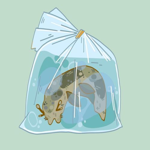 continuing my love affair with @roomwherepod’s #dkph. here is a #yeerk in a shakey bag, because reas