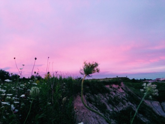 just like heaven