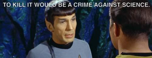 spatscolombo:“But you said it would be a crime against science—”“Science is stupid I hat