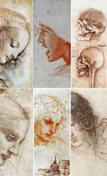 moerae:Leonardo da Vinci’s drawings