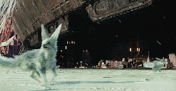 starwarsolo:   ⪧  vulptex (pl. vulptices)  “The idea is that these wonderful sort of feral creatures had lived on this planet (Crait) and had consumed the planet’s surface, and as such had become crystalline. They live within the burrows and within