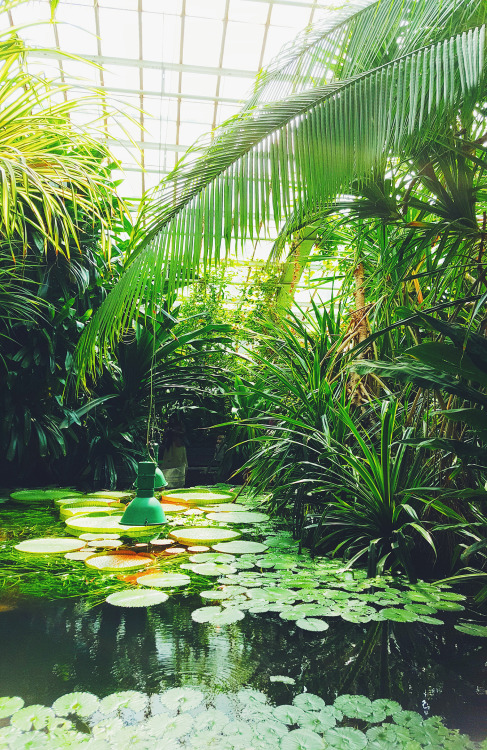 elephants-and-paradise:  ch-a-s-i-n-g:  photo by ch-a-s-i-n-g  ~~  (insta)  ~~   //keep caption pls/