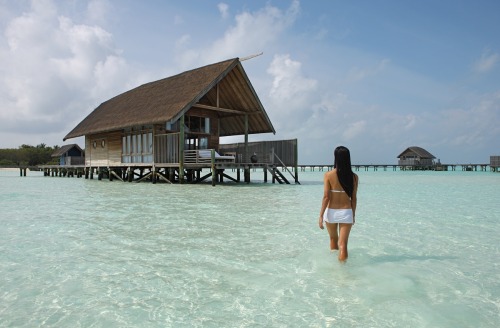 Cocoa Island by COMOA staggering island resort in the Maldives, Cocoa Island by COMO boasts 33 overw