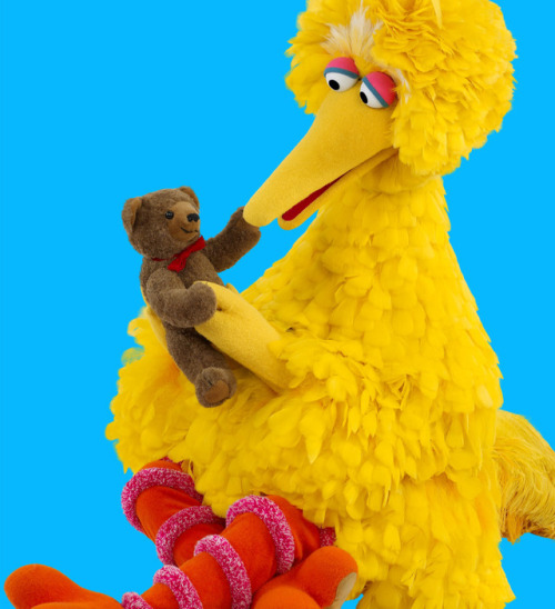 Big bird stimboard for anon <3Sources: [ x x x ] [ x x ] [ x x x ]