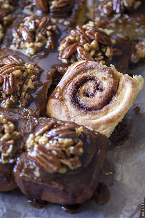 sweetoothgirl:  Overnight Pecan Sticky Buns