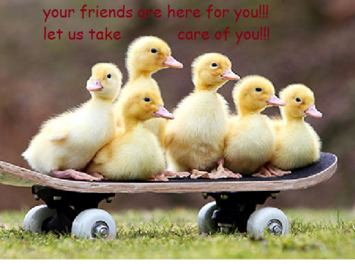support duck and ducklings version..my ask is always open for those who need it