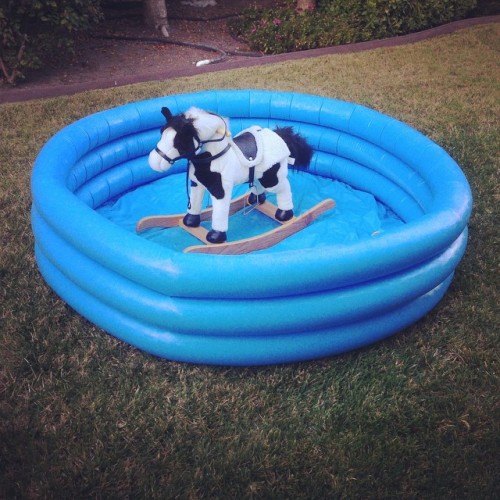 I put this pool in the backyard and was going to fill it, but then I remembered California’s suffering through a drought. An hour later I found it like this. I don’t know what the boys were playing. Rodeo maybe?