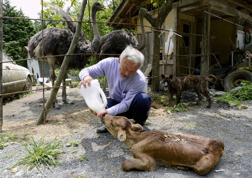 Porn photo The Radioactive Man Who Returned To Fukushima