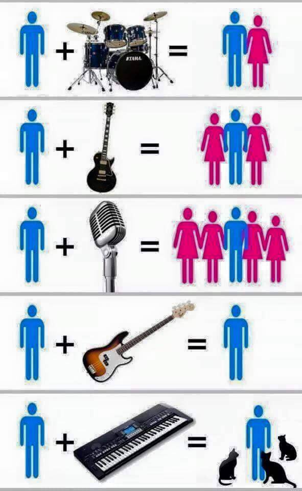 redditfront:  Very accurate musician chart.