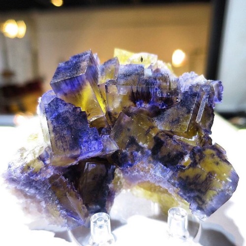 mineraliety:  I love when Fluorite really cubes up like this! Lovely specimen via @takahide1113 //////// www.instagram.com/takahide1113   www.mineraliety.com   