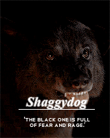 alexsexklaus:  thronesgifs challenge: [2] creatures » direwolves↳ These wolves