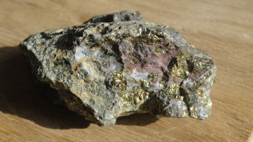 Gold Chalcopyrite CuFeS2::Au  -  02.CB.10a (Strunz)(from El Inglés Mine, Chancón, Rancagua, Chile) T