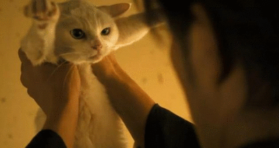 mynameismad:  romantic-dystopia:  Samurai and cat, live together　(“Nekozamurai”-Japanese tv plogram) 猫侍　第二話　 gifにせずにはいられない侍と猫の同棲生活。 今回は玉之丞のウィンクがきゃわわ！ 