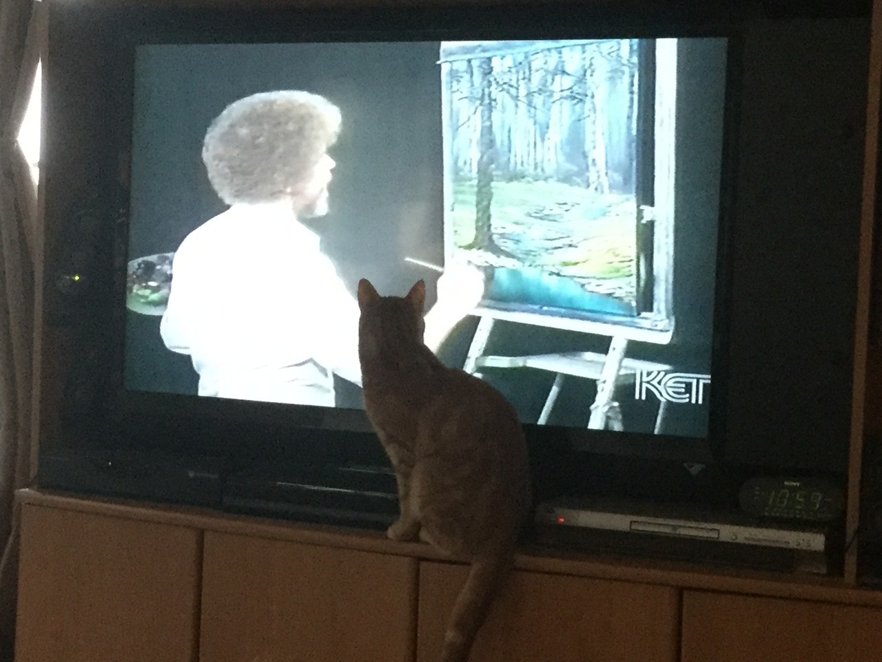 world-of-cats:  Barney watching Bob Ross paint “happy trees”