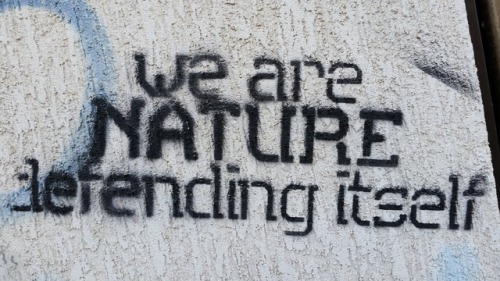 ‘We are nature defending itself’In Düren, Germany, near the Hambach forest occupation.