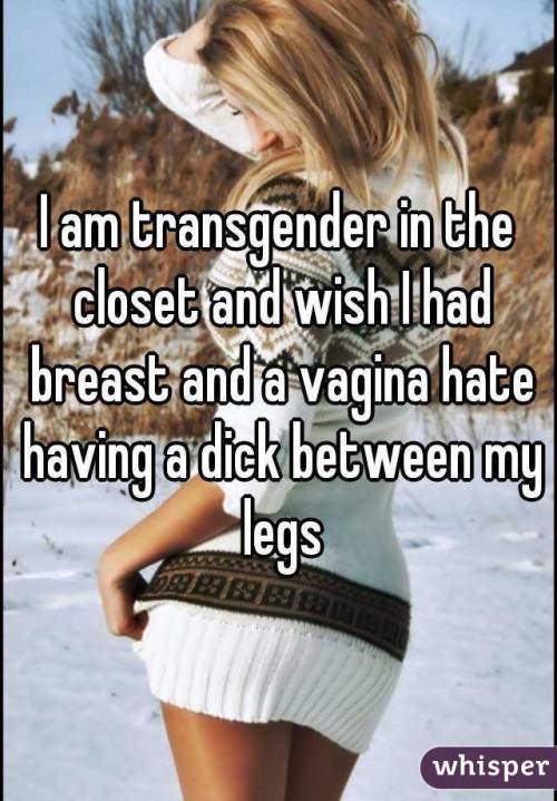 mwhitworld: I too am transgender , NOT in the closet , and my breasts are developing , I do wish to 