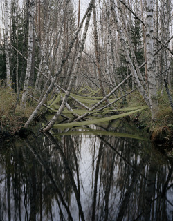 Landscape-Stories: Ls 25 | Altered Landscape Riitta Päiväläinen - River Notes
