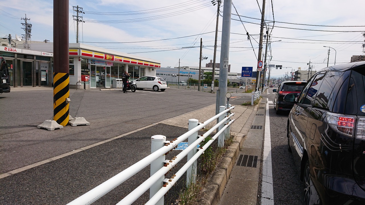 噛みつき亀 Explore Tumblr Posts And Blogs Tumgir