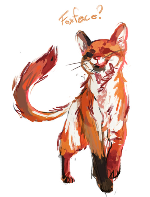 my warriors website assigned oc … foxface! I might change the design to make the face more ob