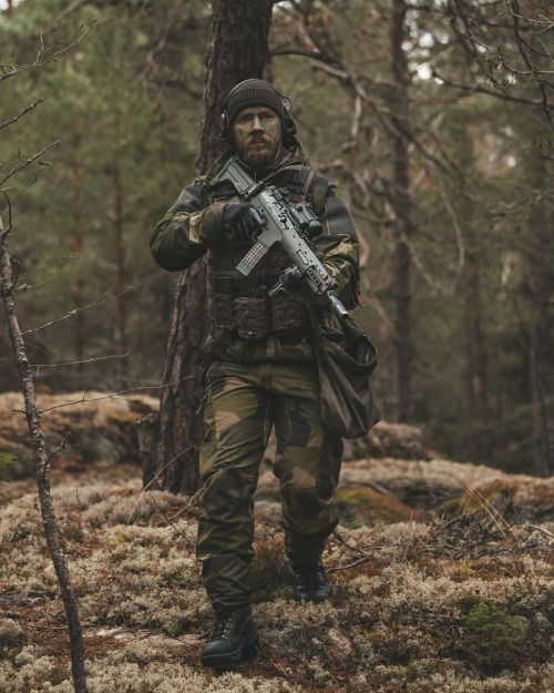 Swedish Air Force security company.