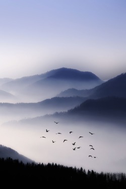 visualechoess:  Flying Over The Fog - © Philippe Sainte-Laudy 