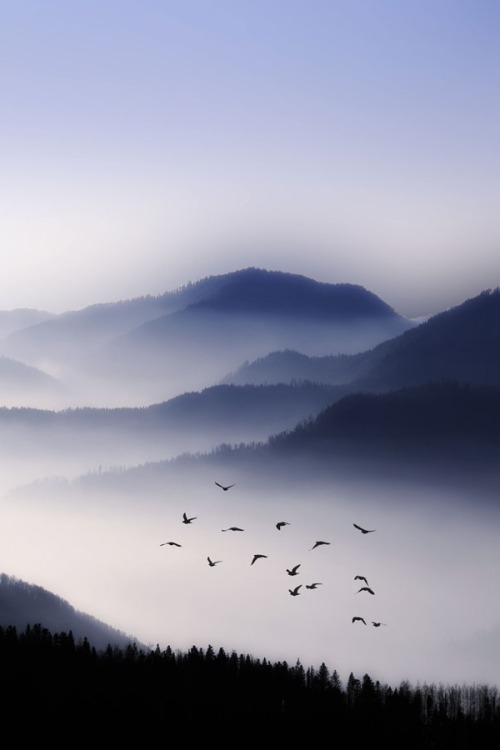 visualechoess: Flying Over The Fog - © Philippe Sainte-Laudy