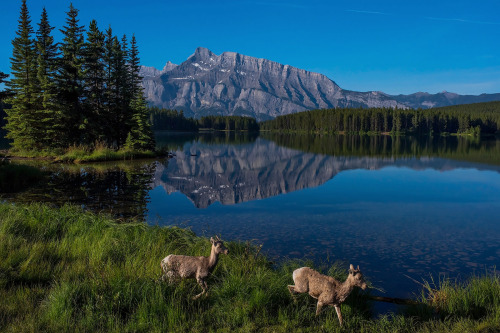 2 Jack lake morning by bob