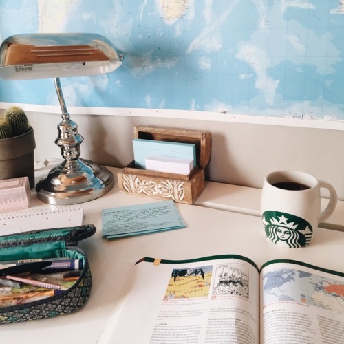 lisas-studyblr:23.03.2017 // 23/100 days of productivity // studying history and drinking tea - pret